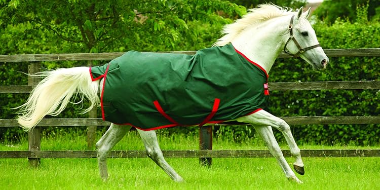Elite Gear for Equestrian Excellence