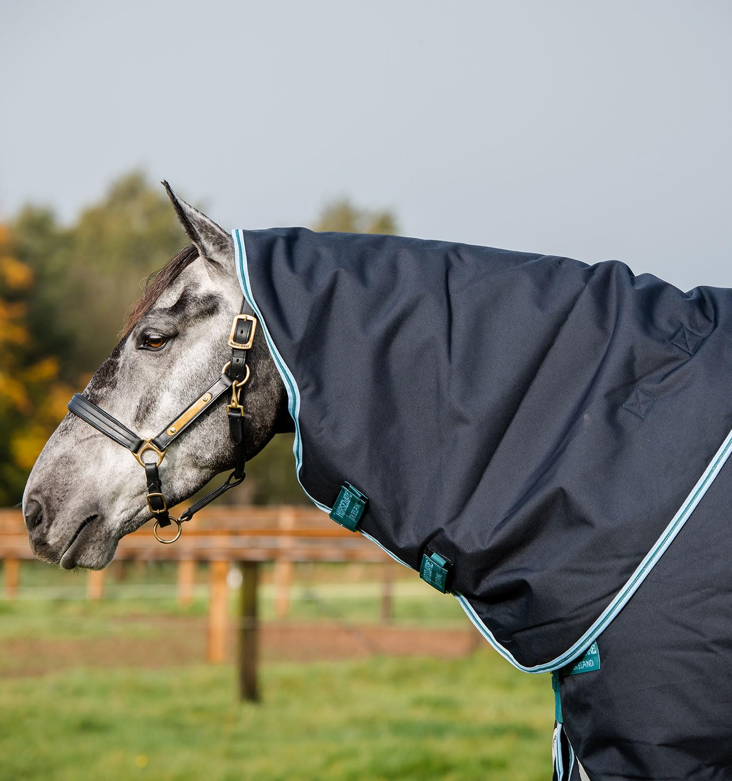 Horseware® Amigo® Bravo 12 Plus Turnout 250g - Image 5