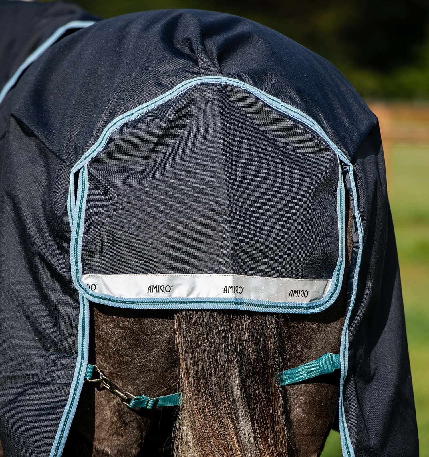 Horseware® Amigo® Bravo 12 Plus Turnout 250g - Image 6