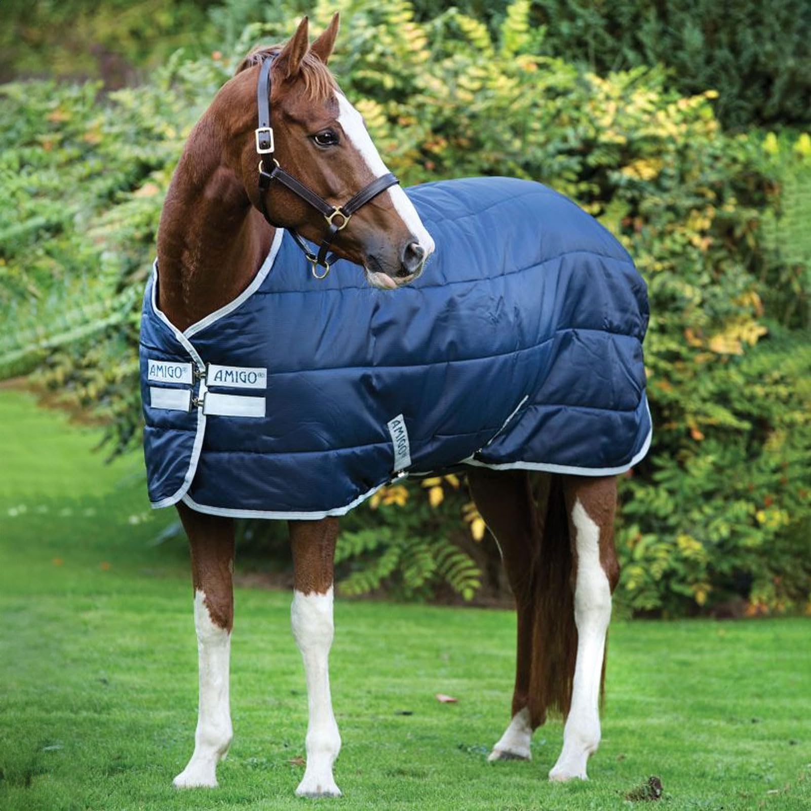 Horseware® Amigo® Insulator (200g Medium) - Image 3