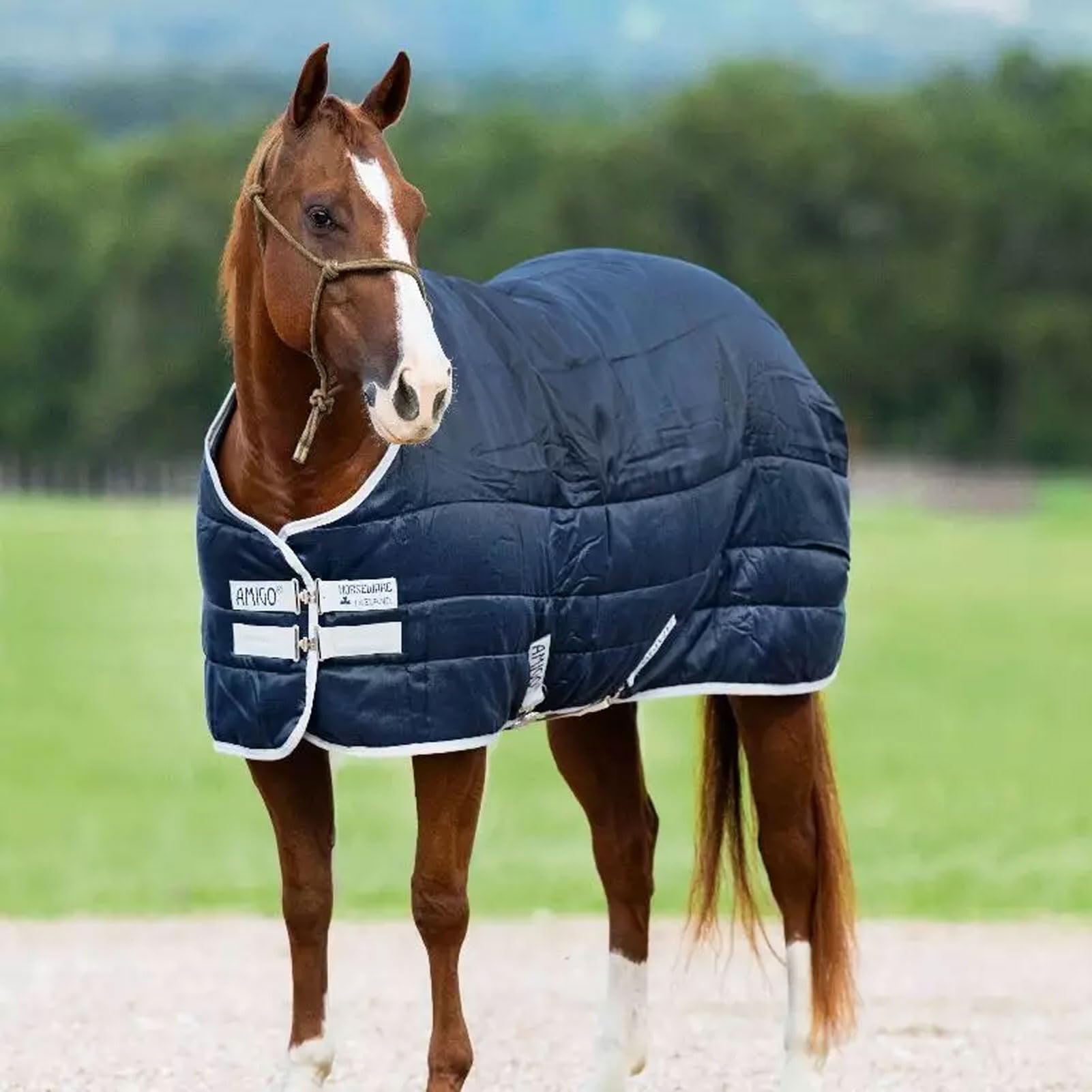 Horseware® Amigo® Insulator (200g Medium) - Image 4