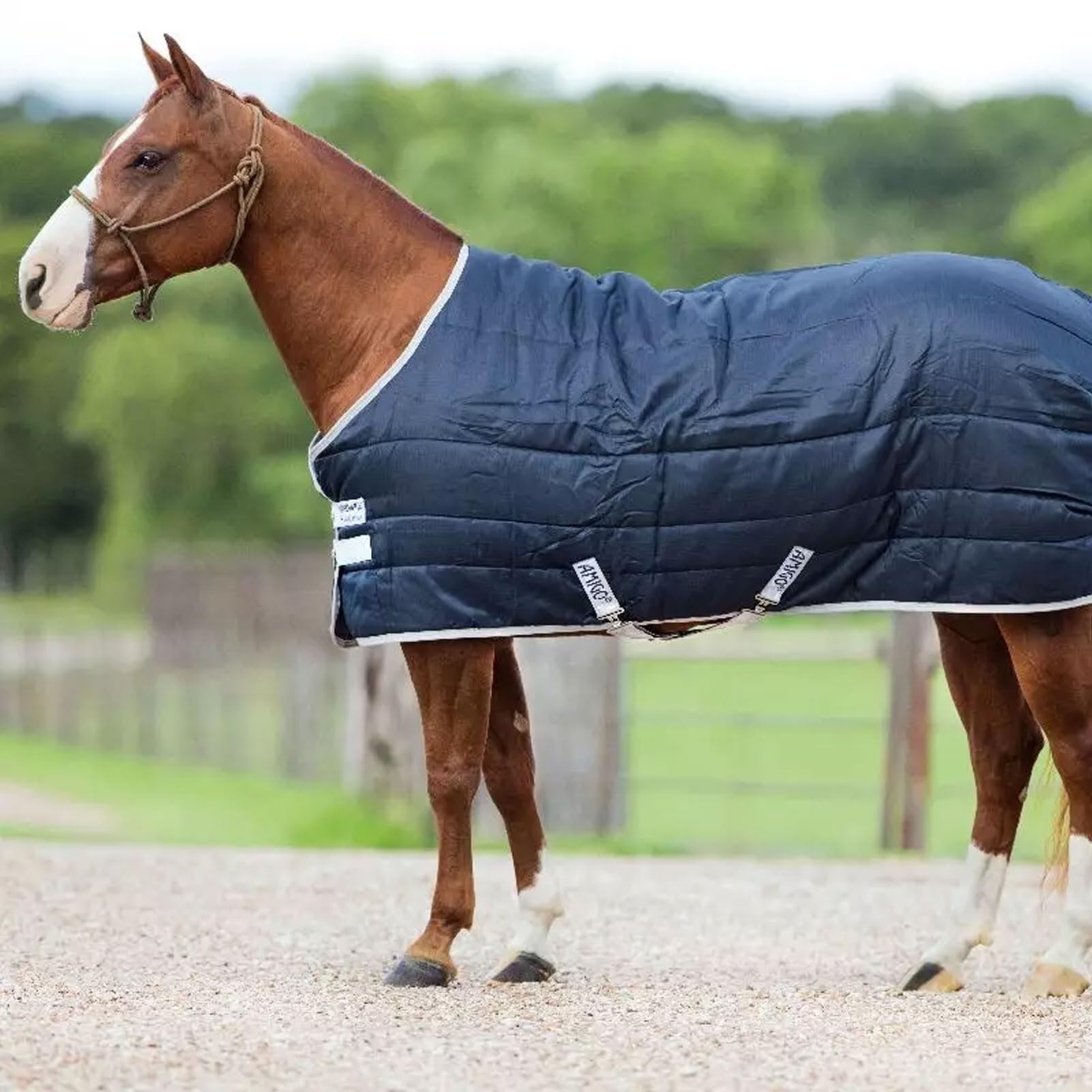 Horseware® Amigo® Insulator (200g Medium) - Image 5