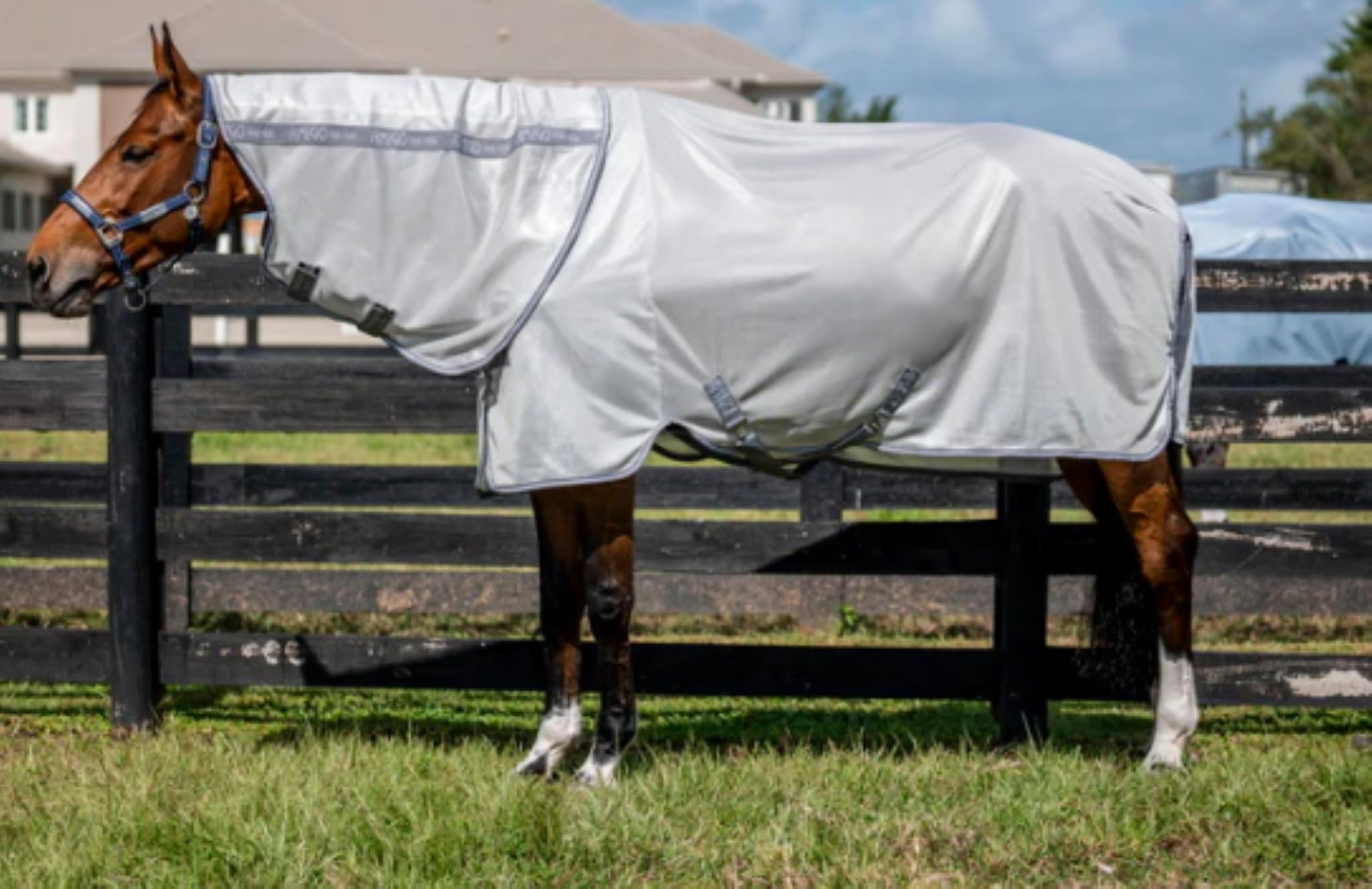 Horseware® Amigo® Integrated Fly Sheet