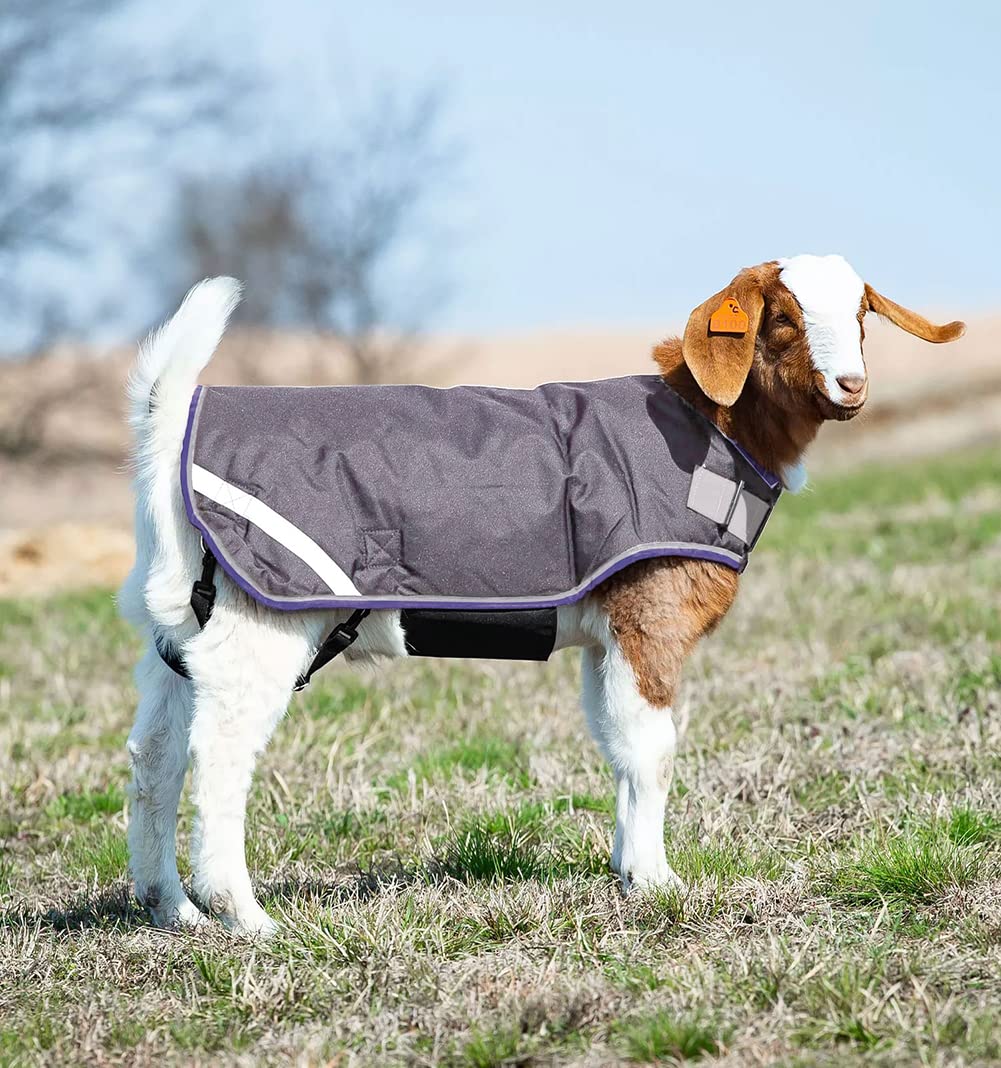 Horseware® Goat Coat (100g Light) - Image 3