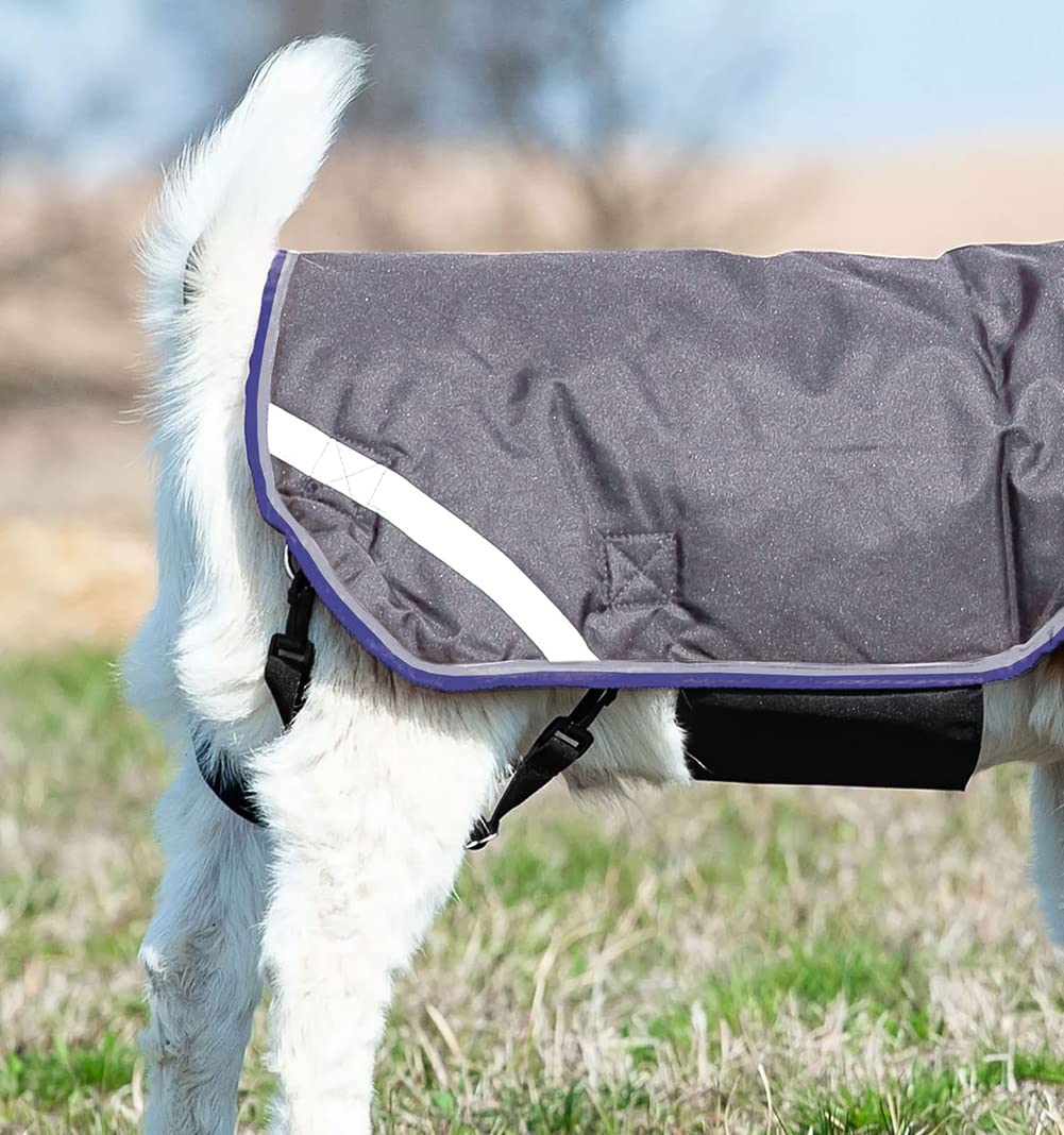 Horseware® Goat Coat (100g Light) - Image 4
