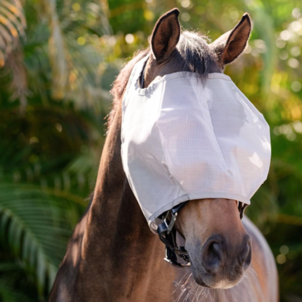 Horseware Ireland Amigo No Ears Horse Fly Mask - Image 3